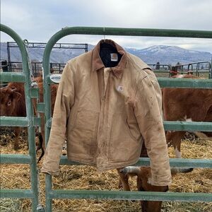 Carhartt Men's Brown Field Jacket
